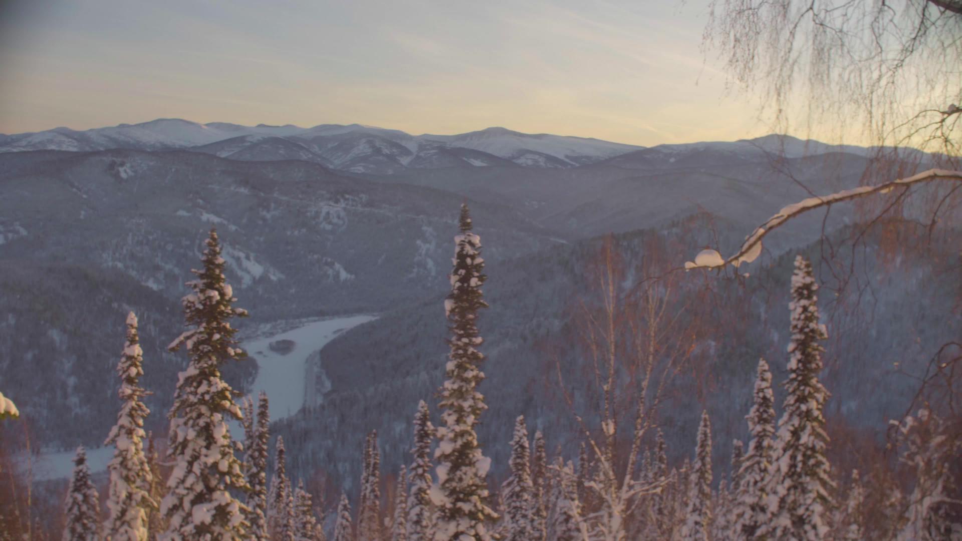 冬季森林的日落视频的预览图