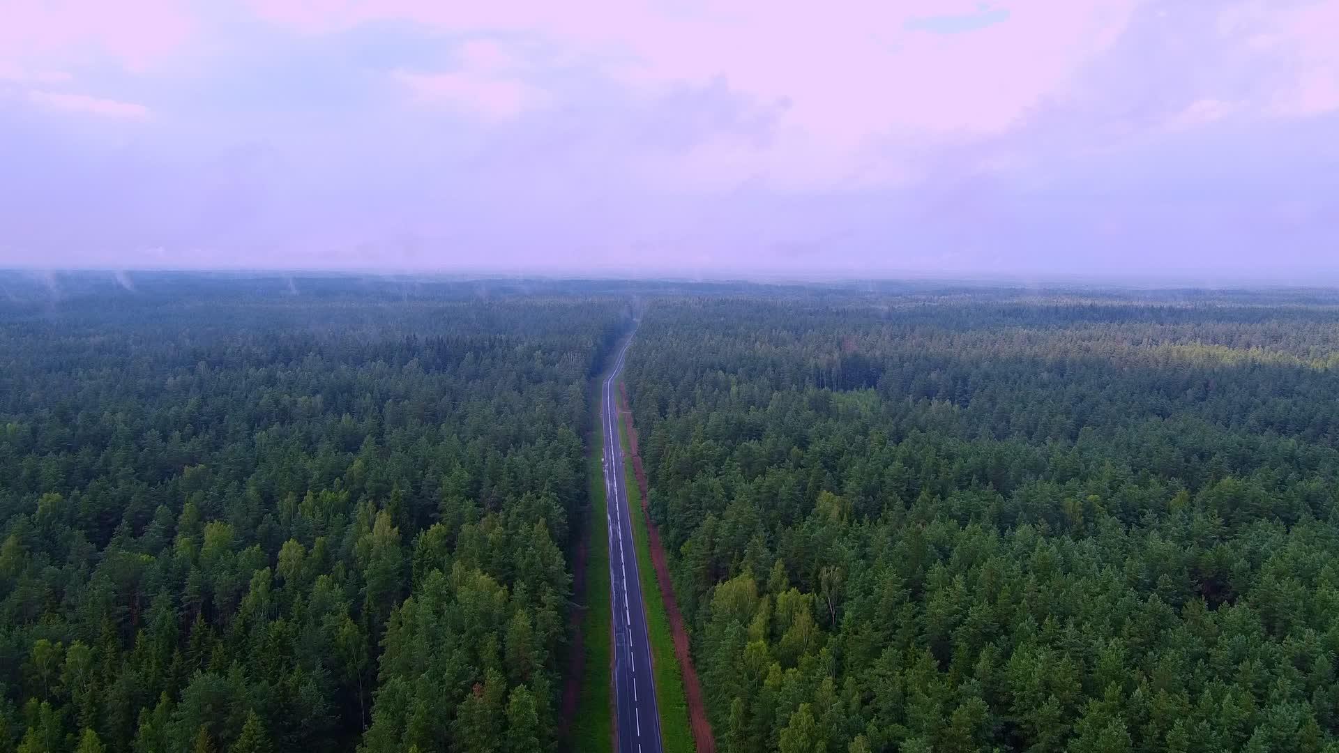 在森林路对面的空气中观察两边茂密的树木视频的预览图