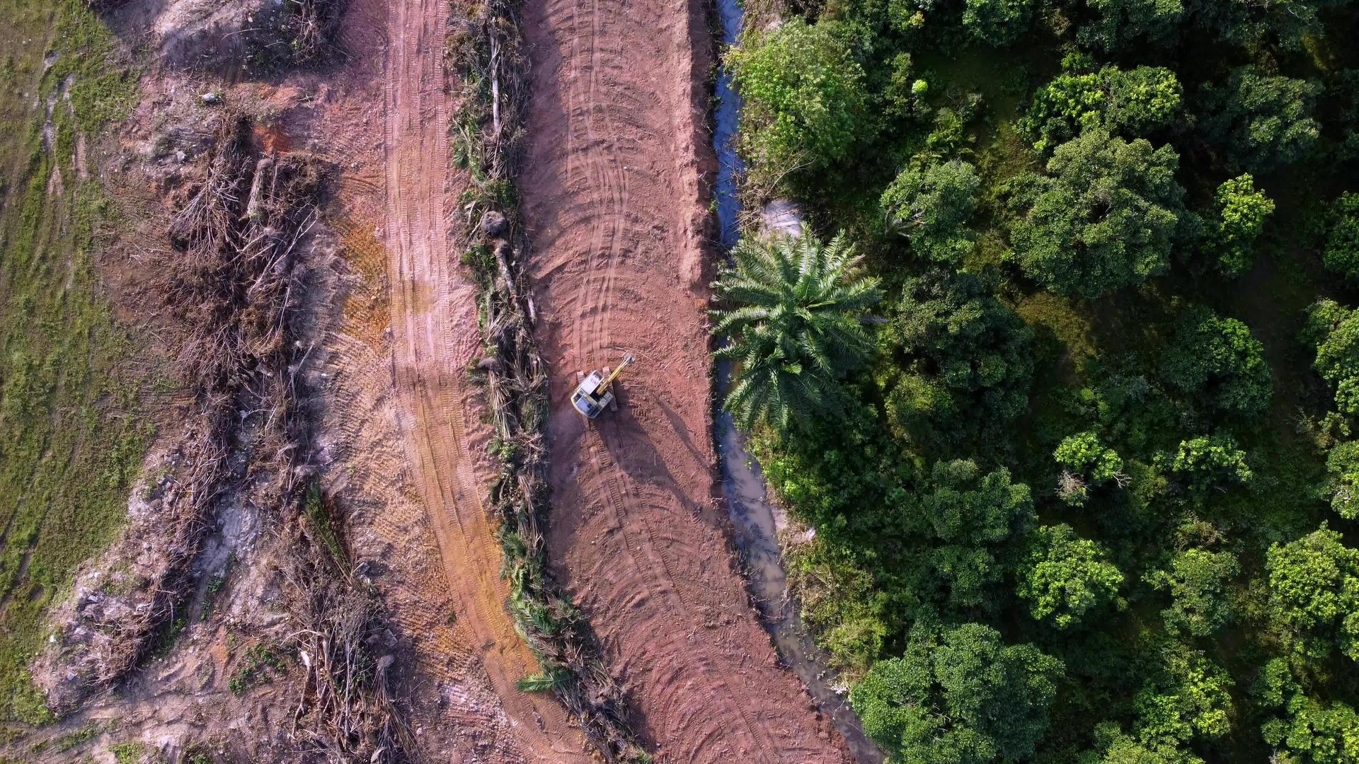 向下看挖掘机的移动以清理绿树区的土地视频的预览图