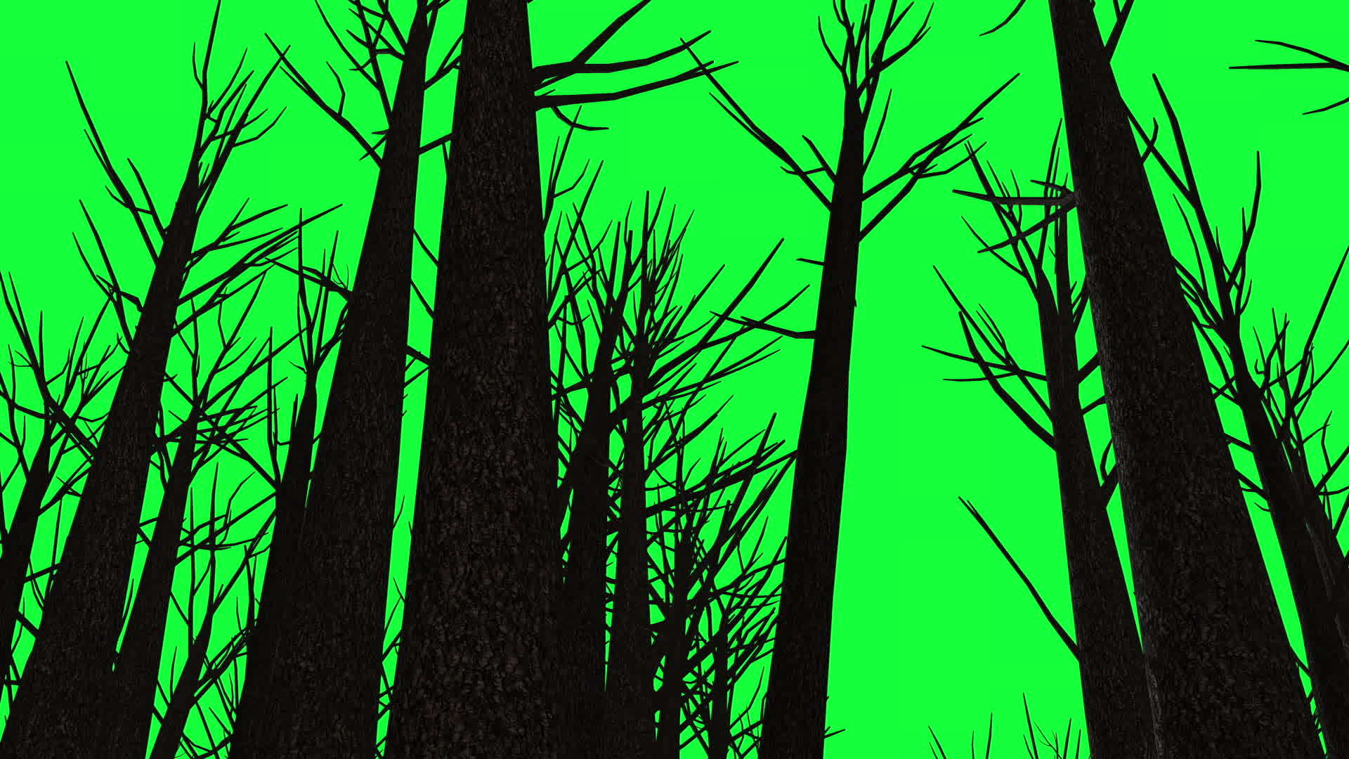 3d在绿屏上画出死亡的旧森林的动画视频的预览图