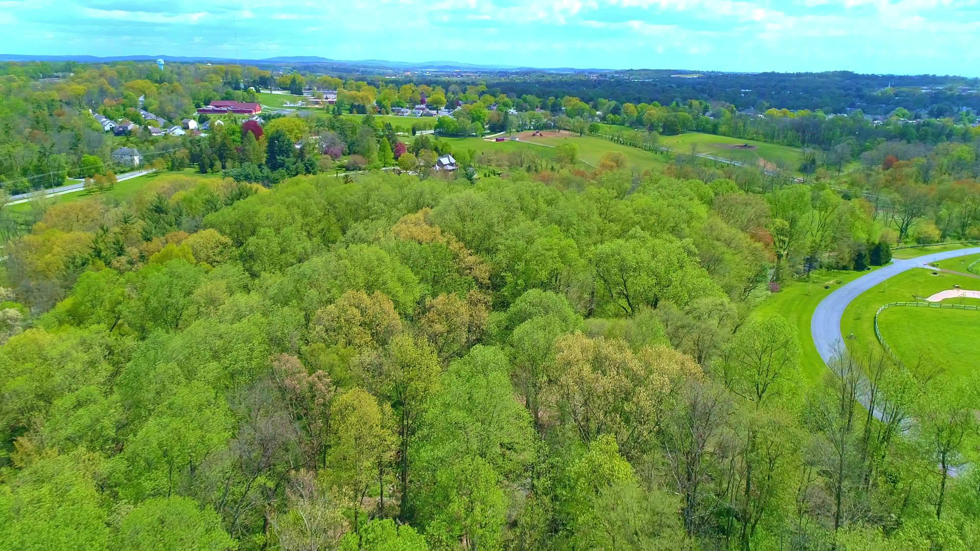 春天森林时间色彩的空中视图视频的预览图