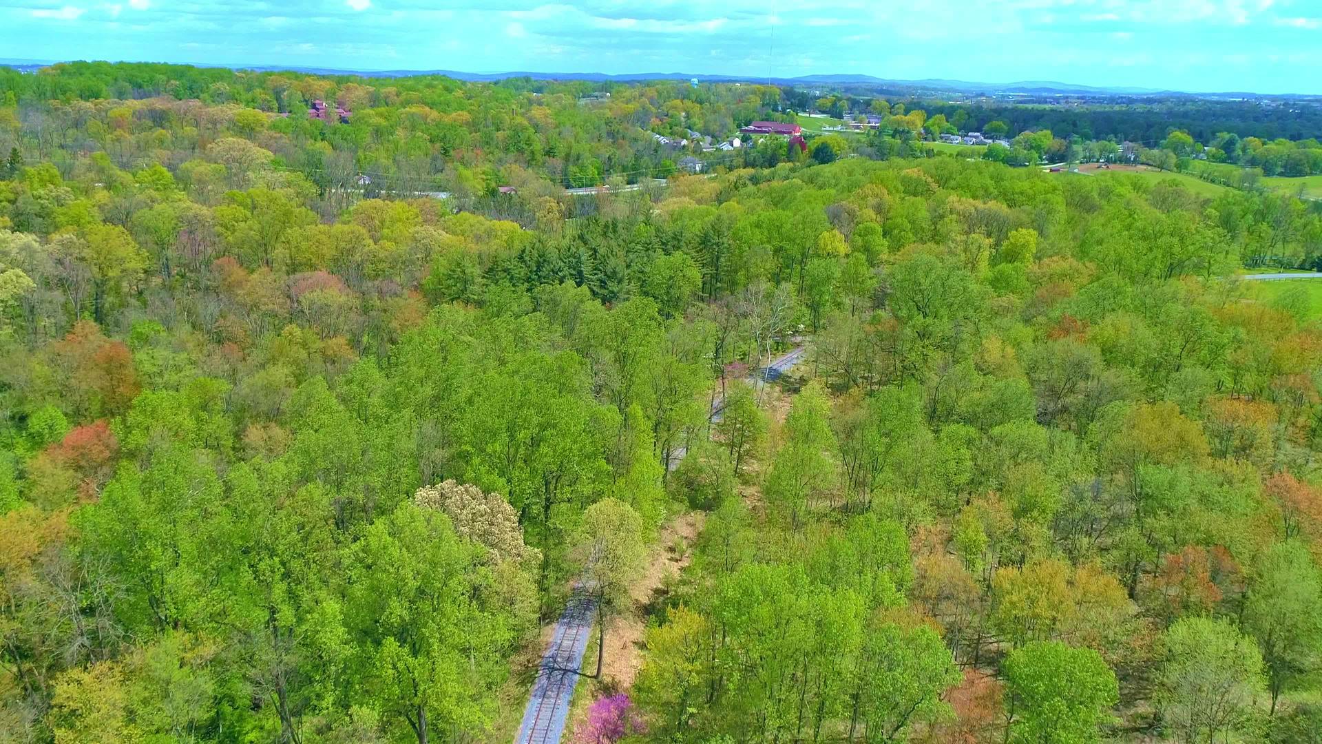 春天有铁路轨道的森林时空的天空视图视频的预览图