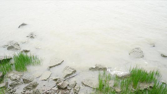 4k河水打在岸边视频的预览图