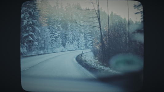 冬天开车穿过阳光明媚的森林视频的预览图
