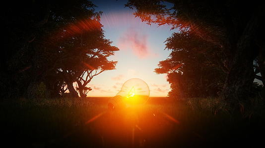 4公里的传统灯泡照亮了美丽的日出前的森林视频的预览图