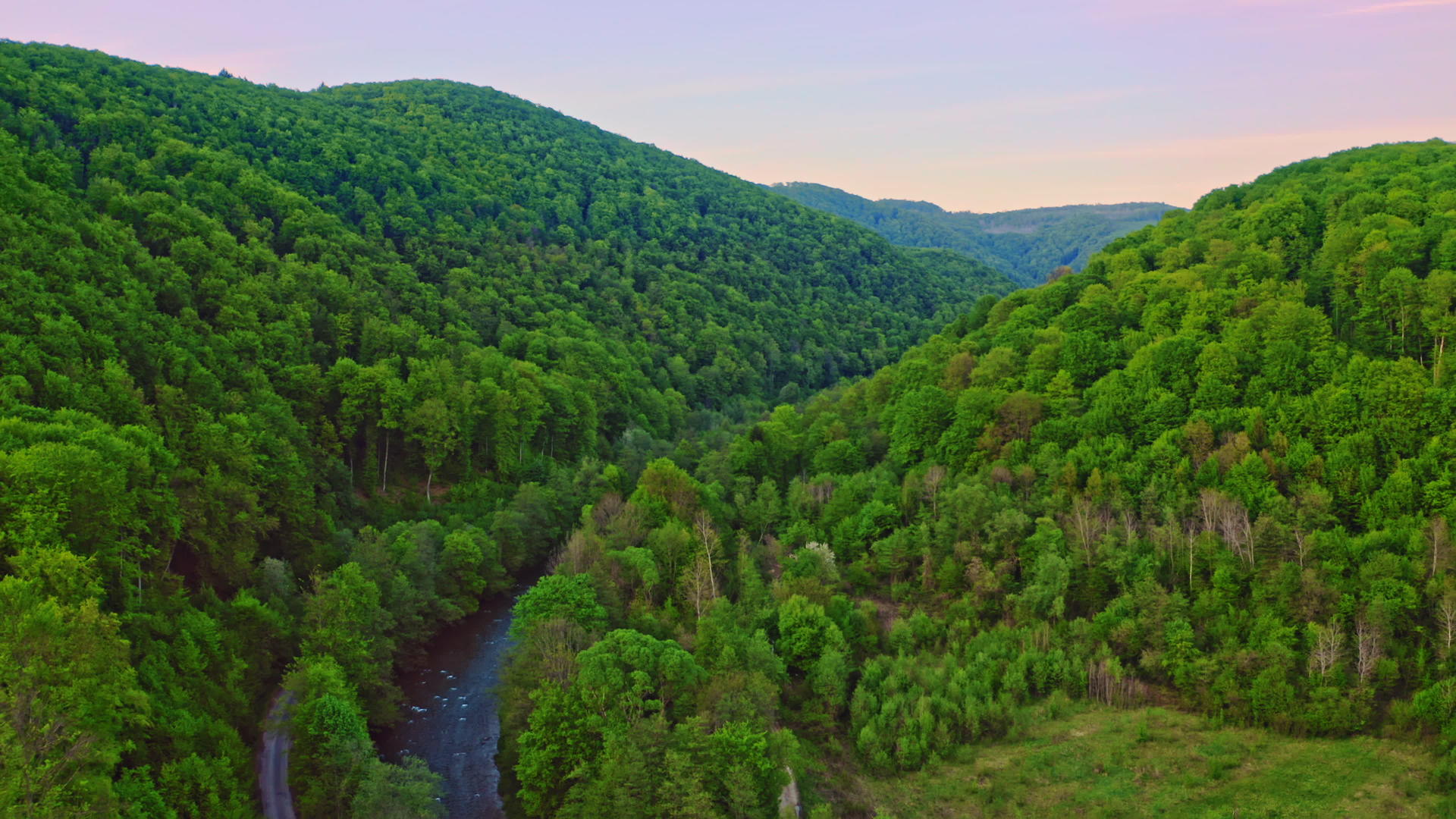 森林中溪流的空气视图视频的预览图