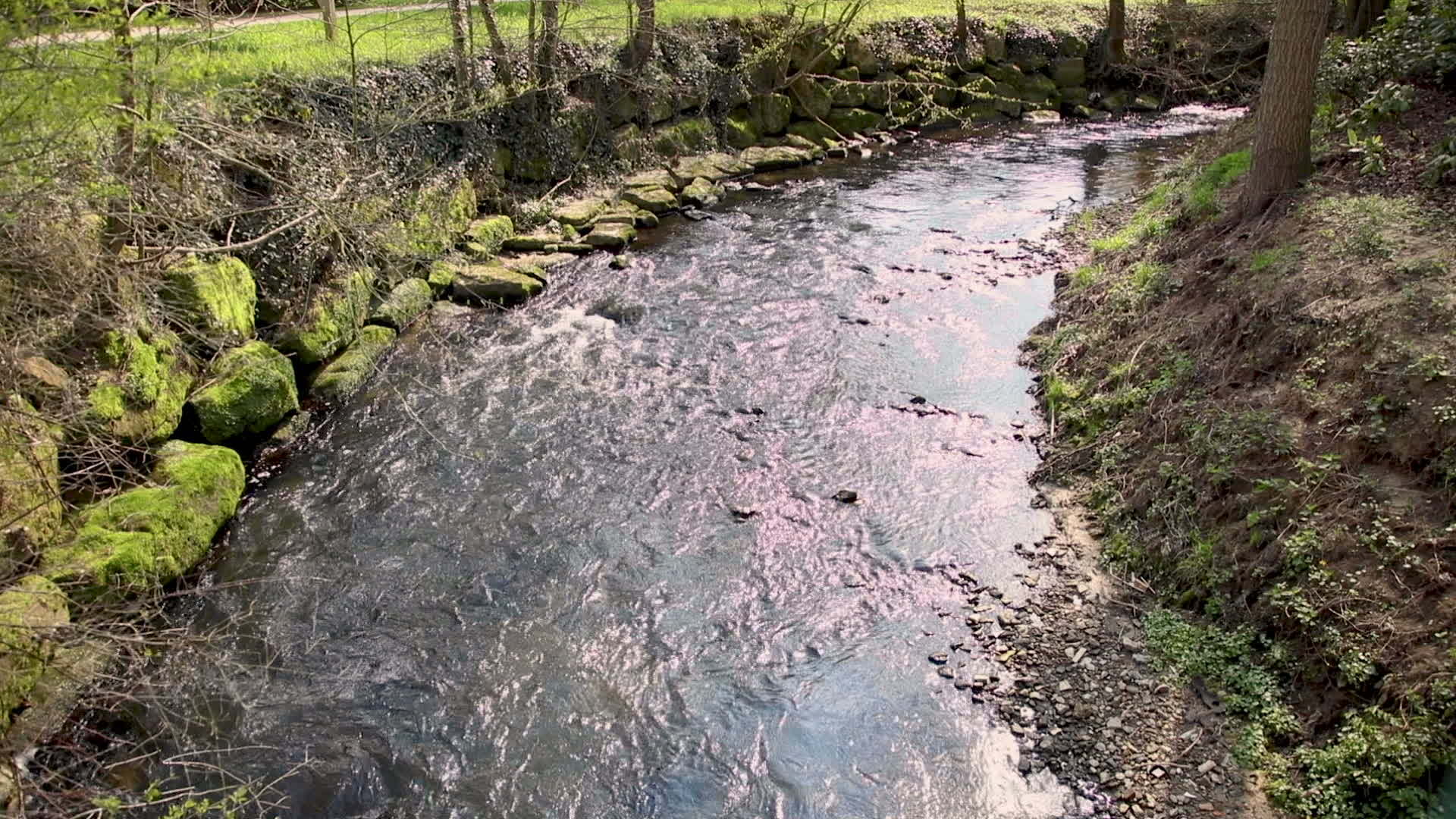 两条不同类型的河流视频的预览图