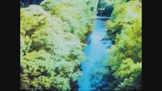 1970年联合王国森林中的河流视频的预览图
