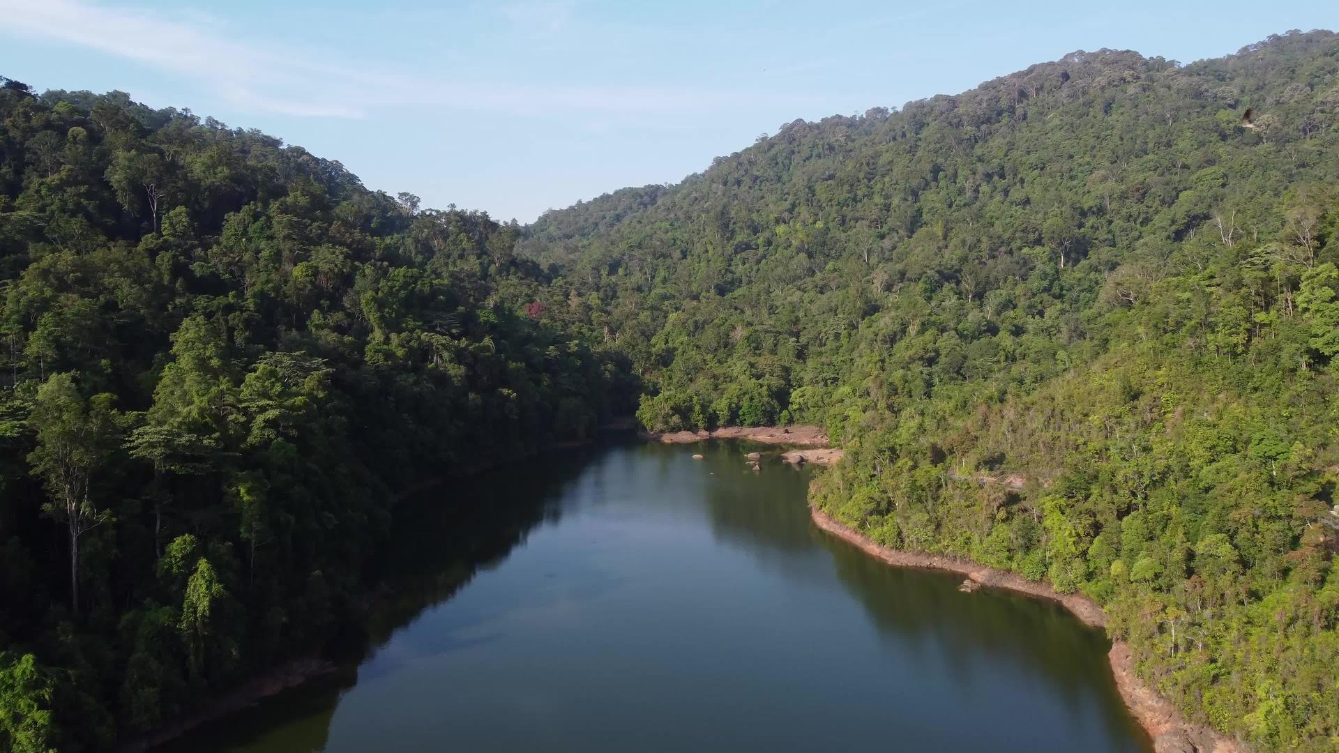 空中湖泊伯南雨林视频的预览图