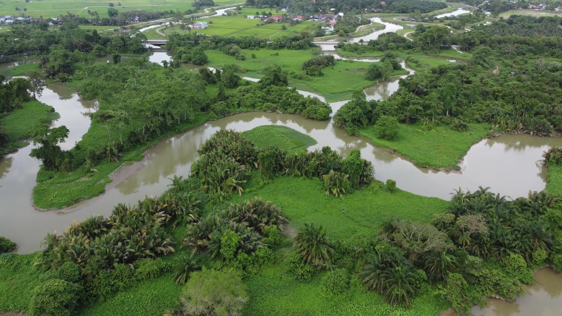 看到绿林附近Sungaiebai河视频的预览图