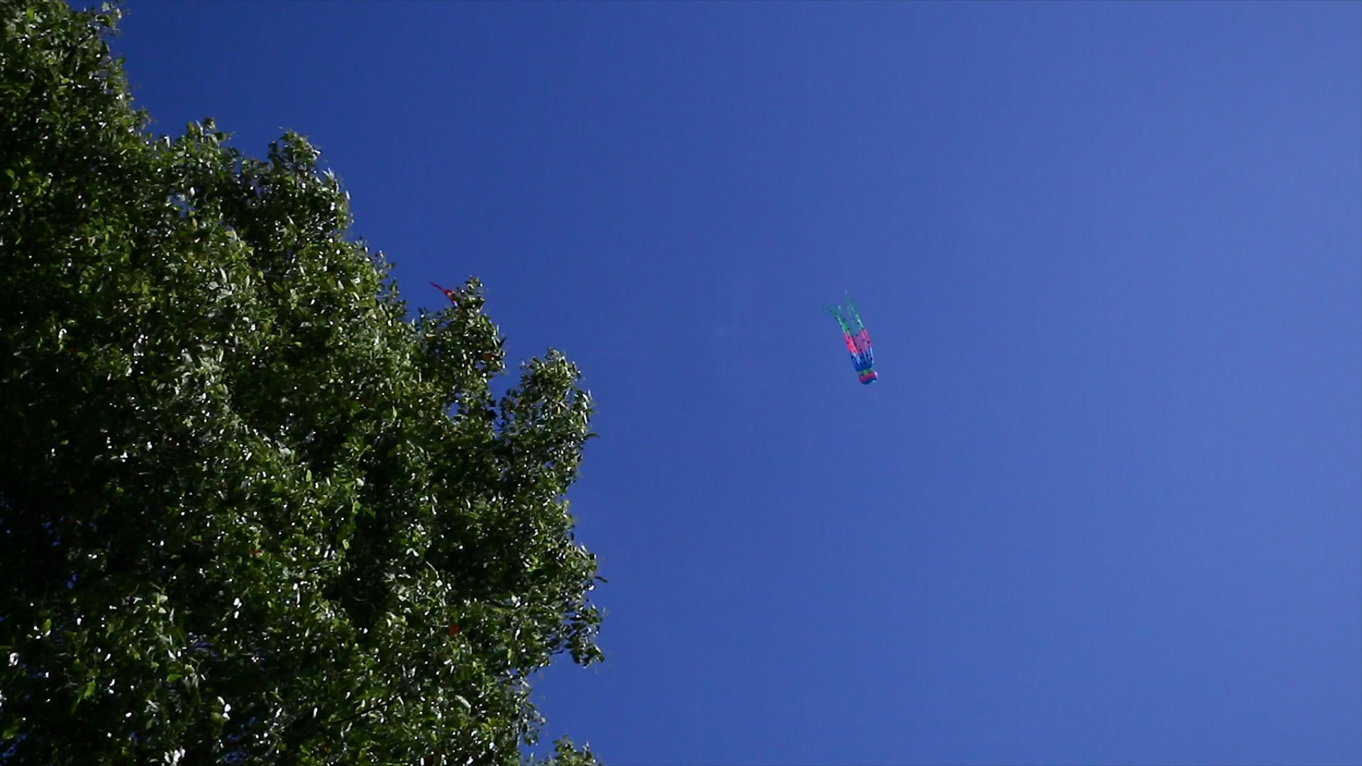 蓝天公园里风筝飞翔4K实拍素材视频的预览图