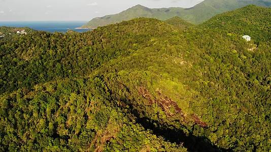 岛上的热带森林令人惊叹热带岛山脊上的绿色丛林令人惊叹视频的预览图