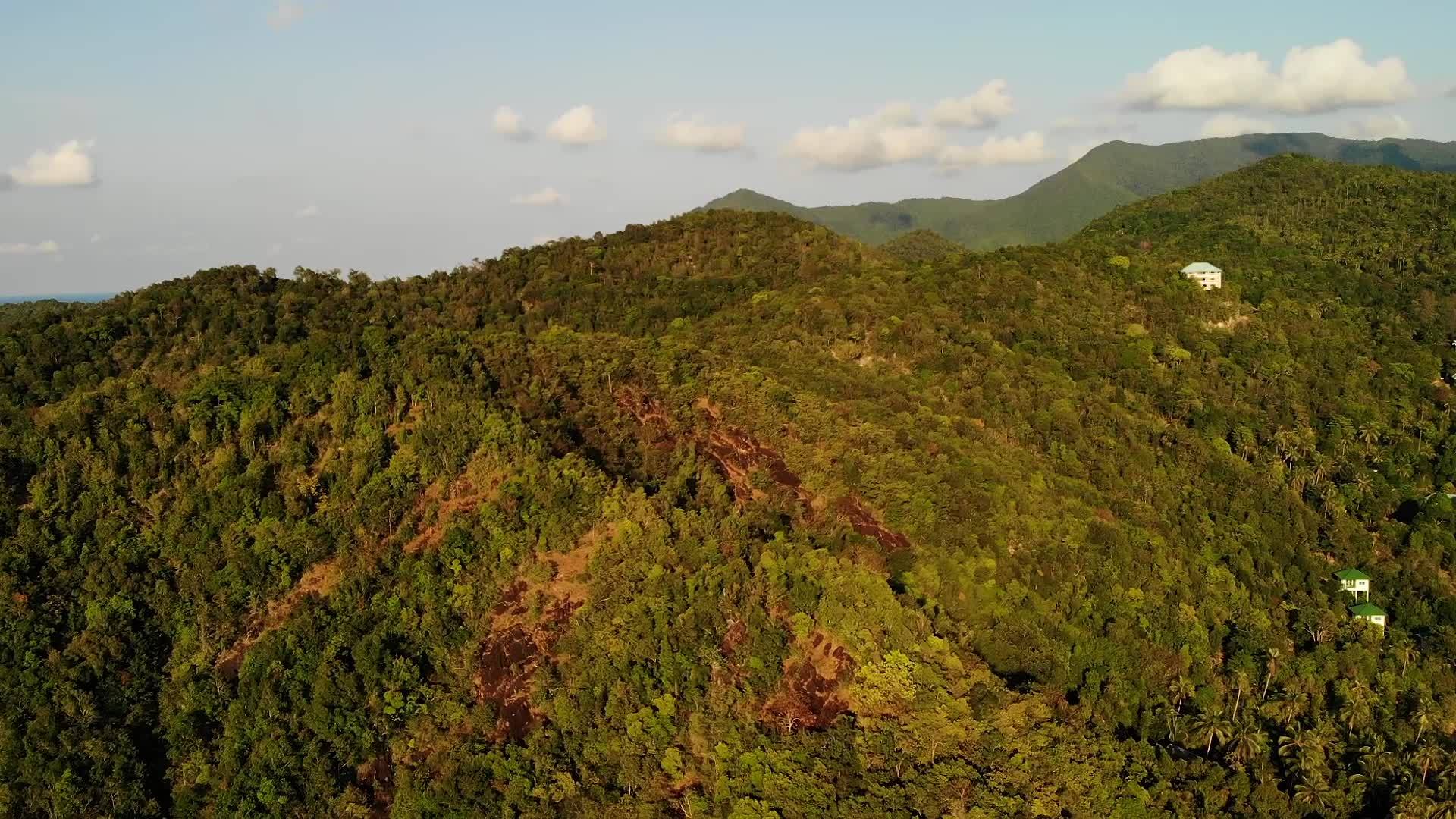 岛上的热带森林令人惊叹热带岛山脊上的绿色丛林令人惊叹视频的预览图