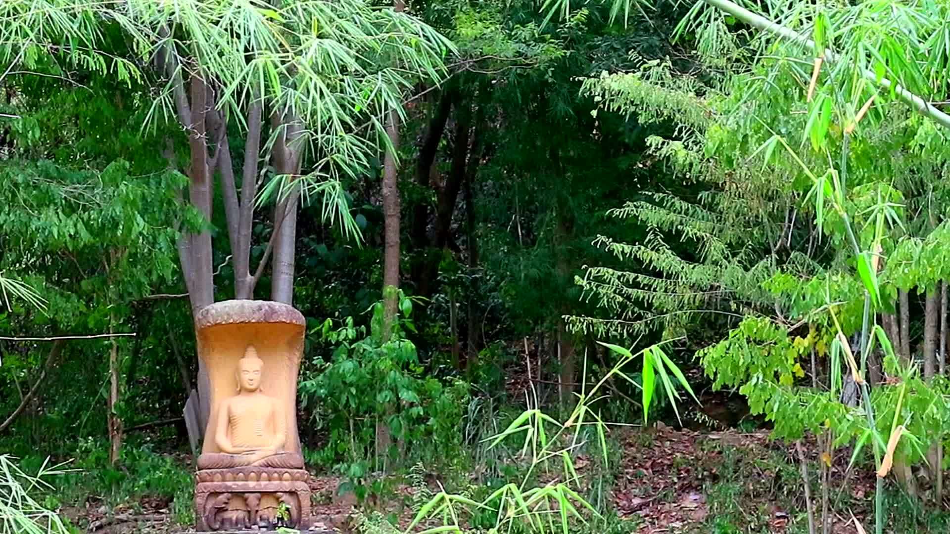 布丁达雕像在森林中的冥想风格视频的预览图