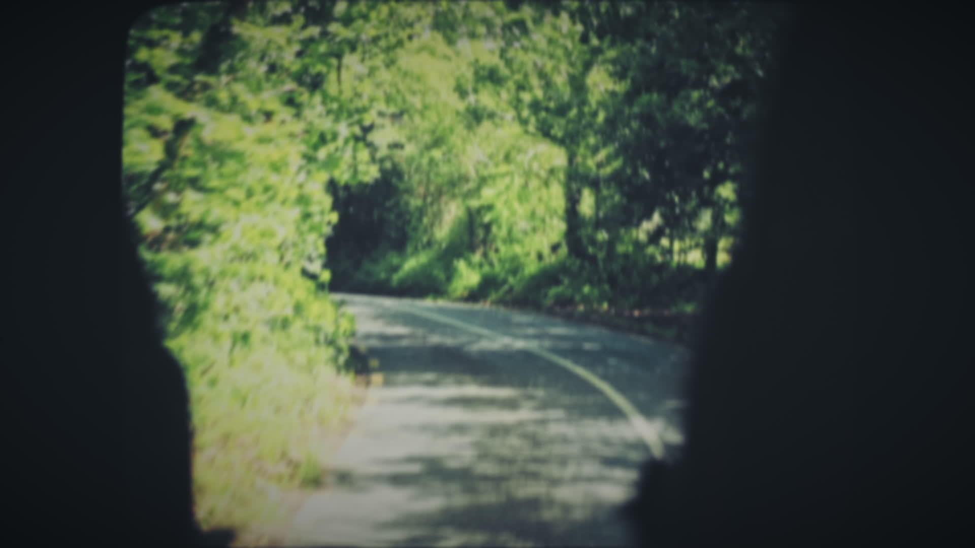 在穿越森林的狭窄道路上行驶视频的预览图