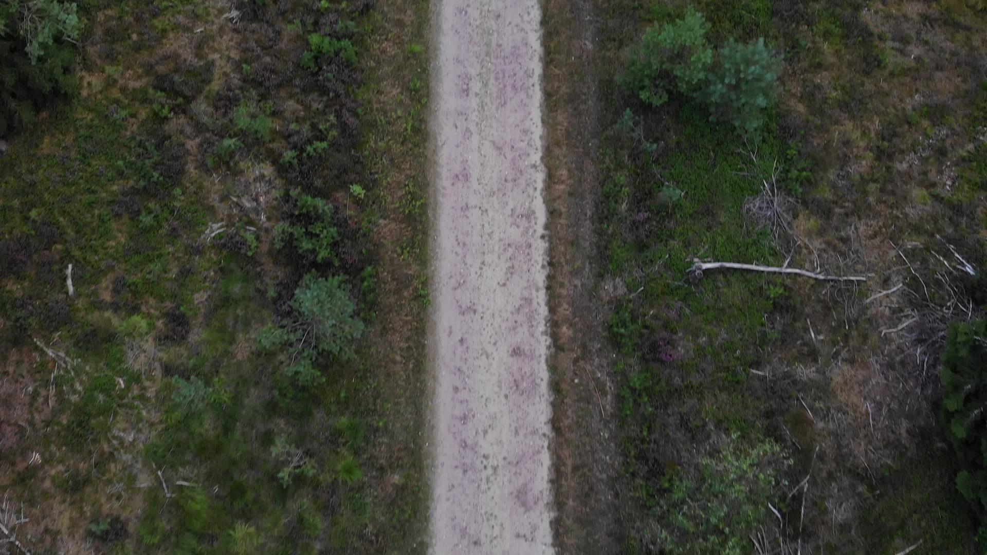 森林中无人机飞行的鸟瞰图或第一视角森林中的路径视图视频的预览图