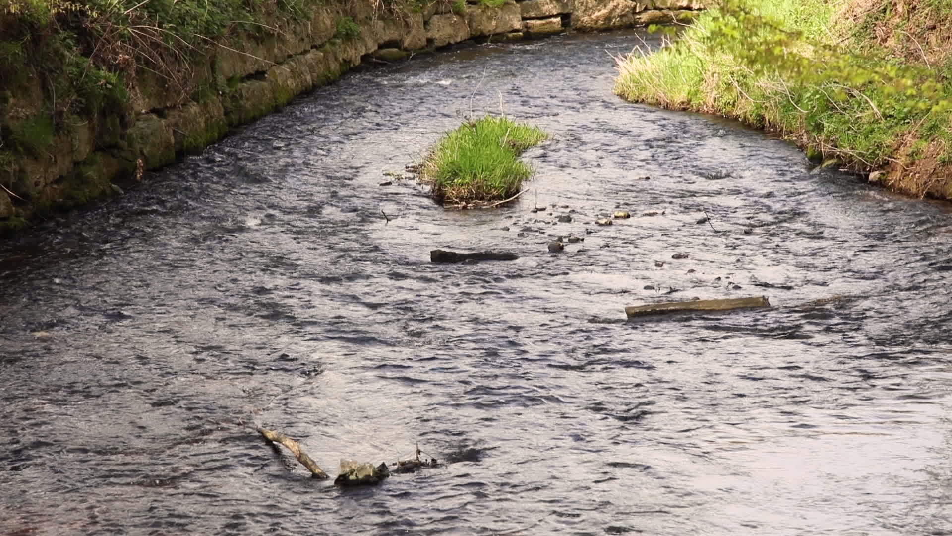 位于河中的一个小草地岛屿位于河中视频的预览图