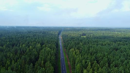 绿色森林无人驾驶飞机从上面的空中发射视频的预览图
