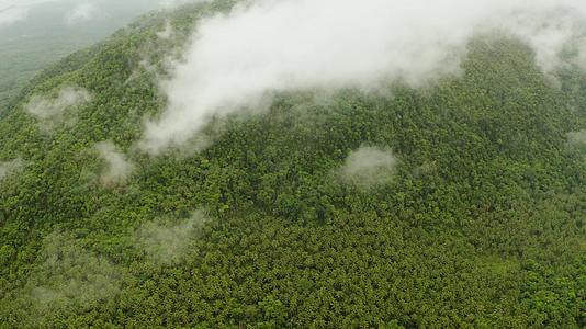 山上覆盖着雨林菲利平视频的预览图