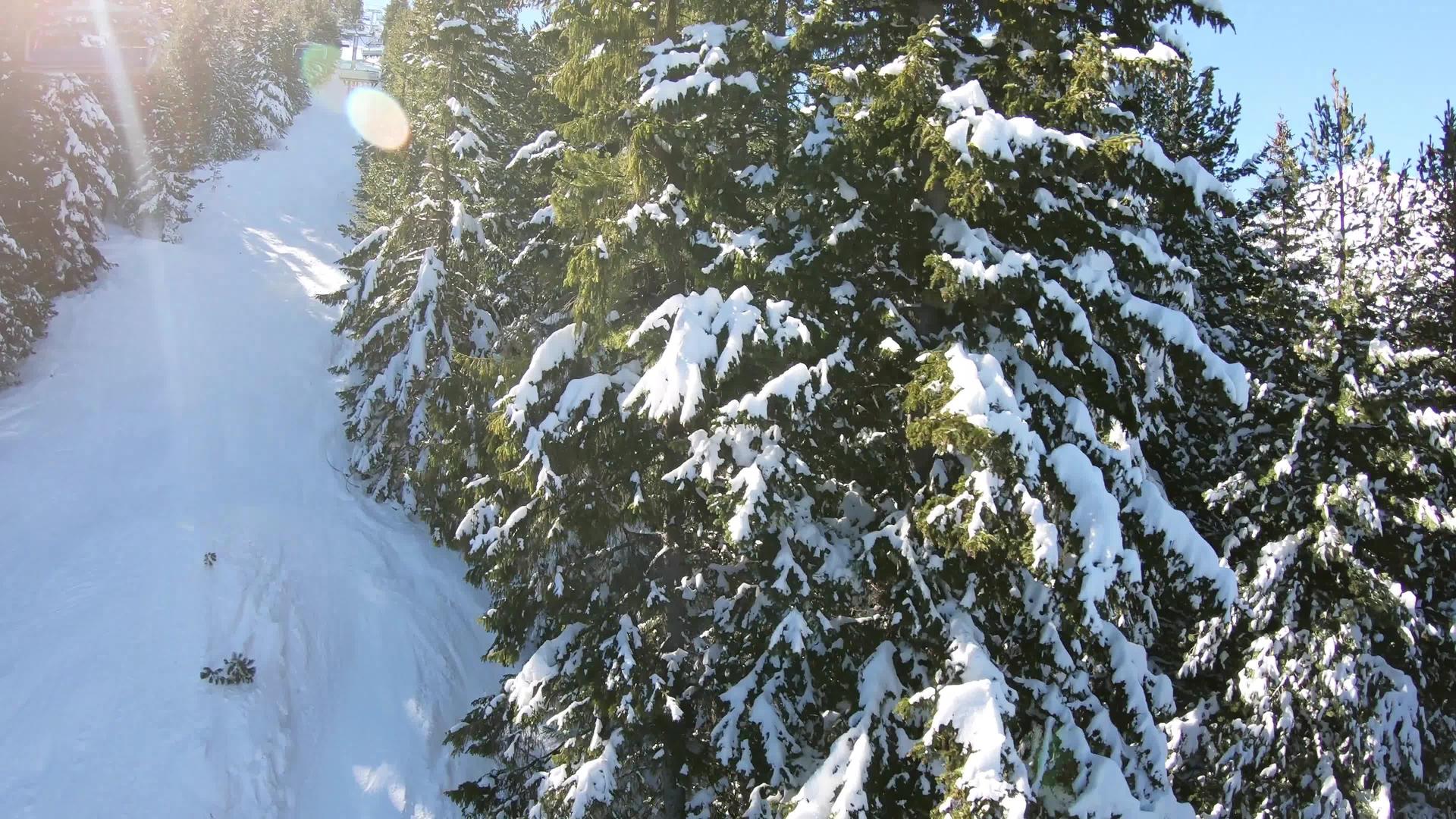 滑雪船在松树林上飞行在高山上滑雪视频的预览图