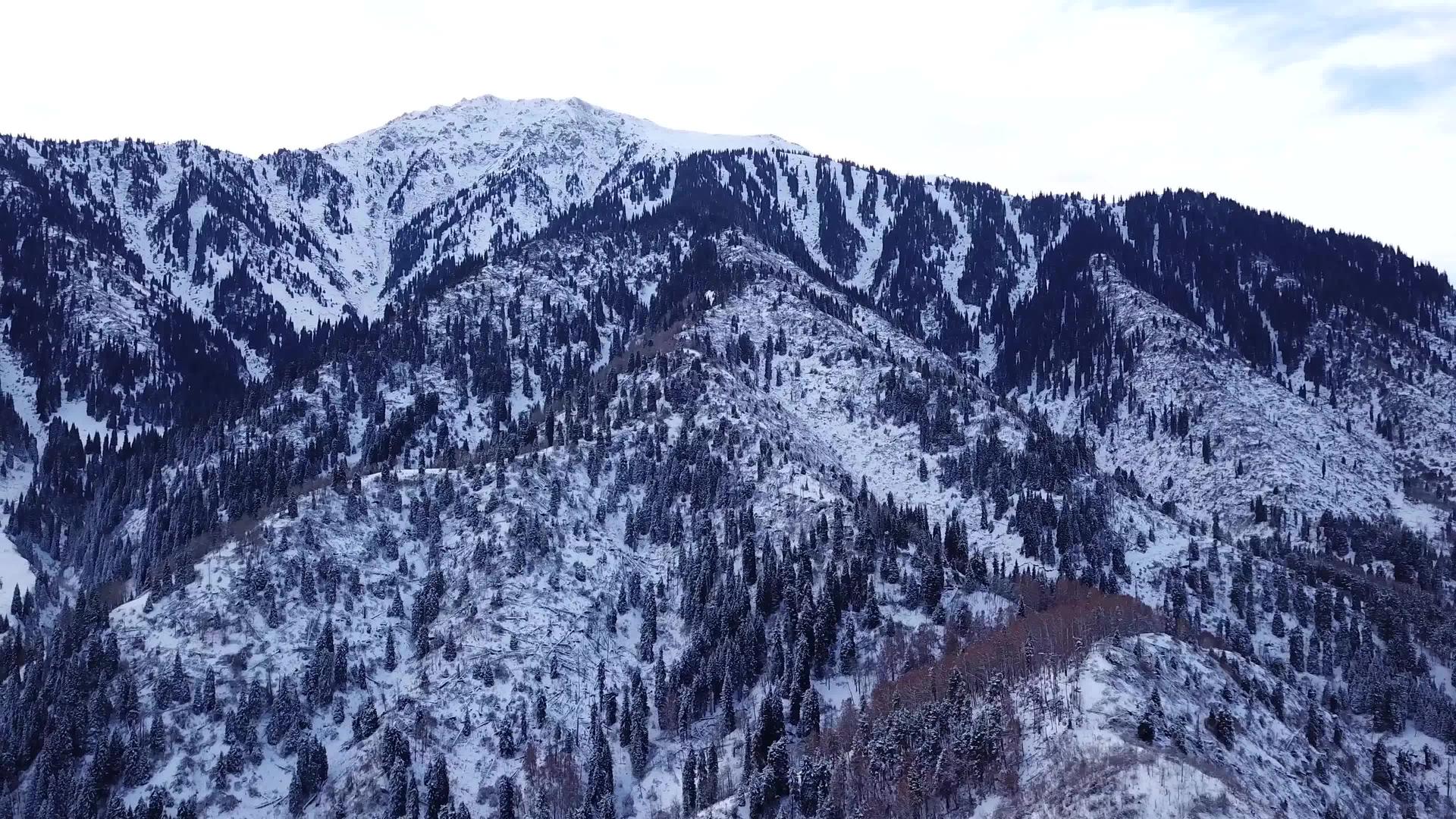 冬季森林和高山下雪视频的预览图