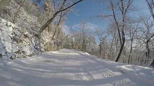 冬天在美丽的森林道路上超速行驶视频的预览图