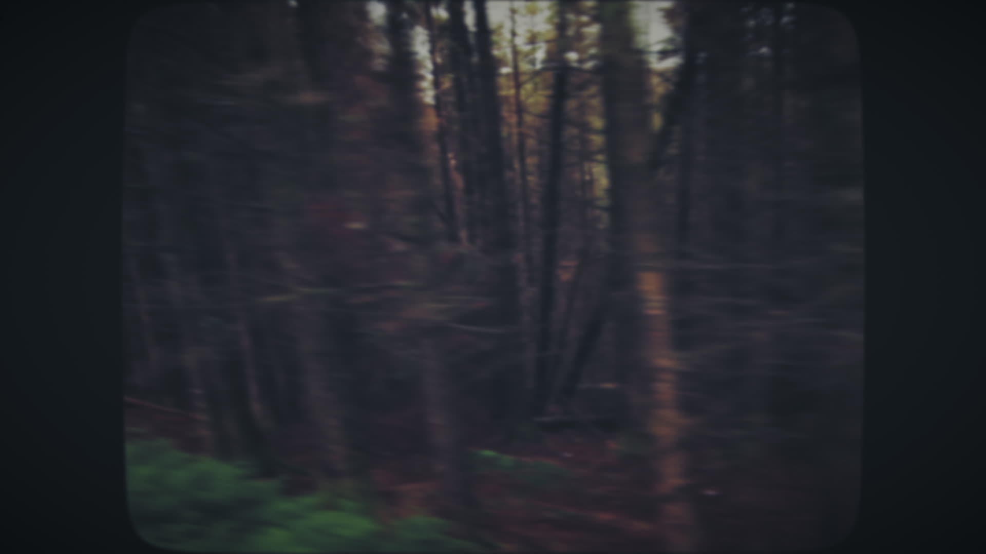 穿过厚厚的绿林视频的预览图