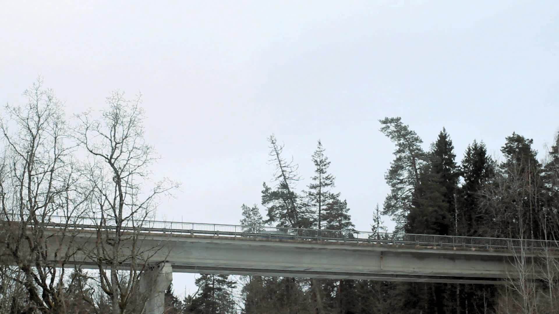 林中桥梁视频的预览图