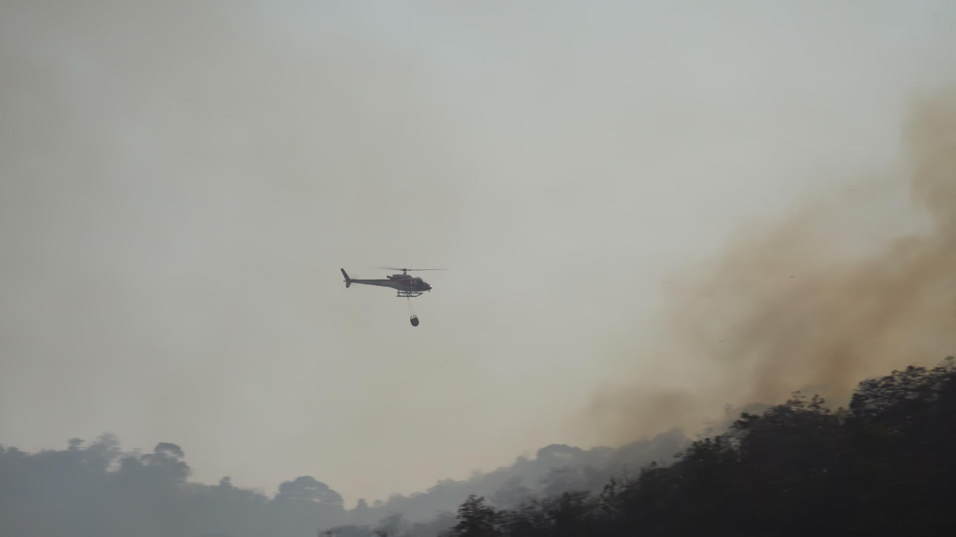 当森林纵火时直升机向森林浇水视频的预览图