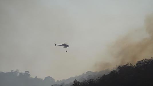 当森林纵火时直升机向森林浇水视频的预览图