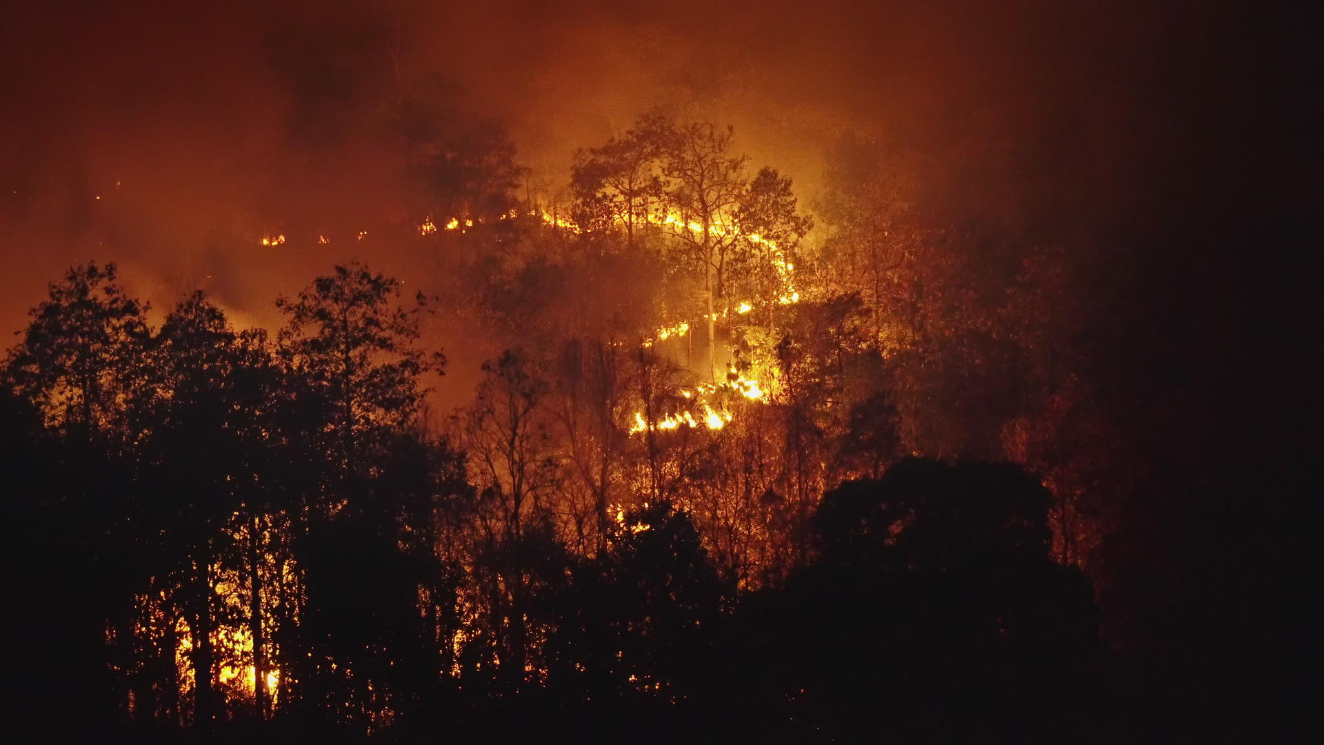 人类正在引发森林火灾导致大雨和火灾视频的预览图