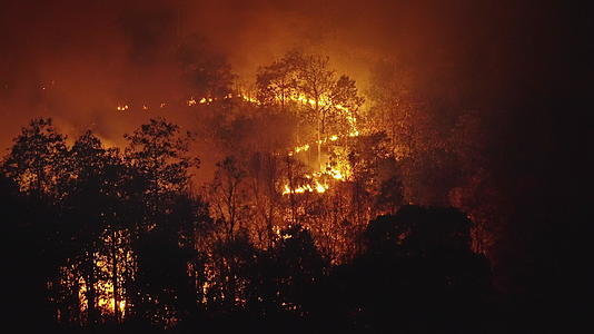 人类正在引发森林火灾导致大雨和火灾视频的预览图