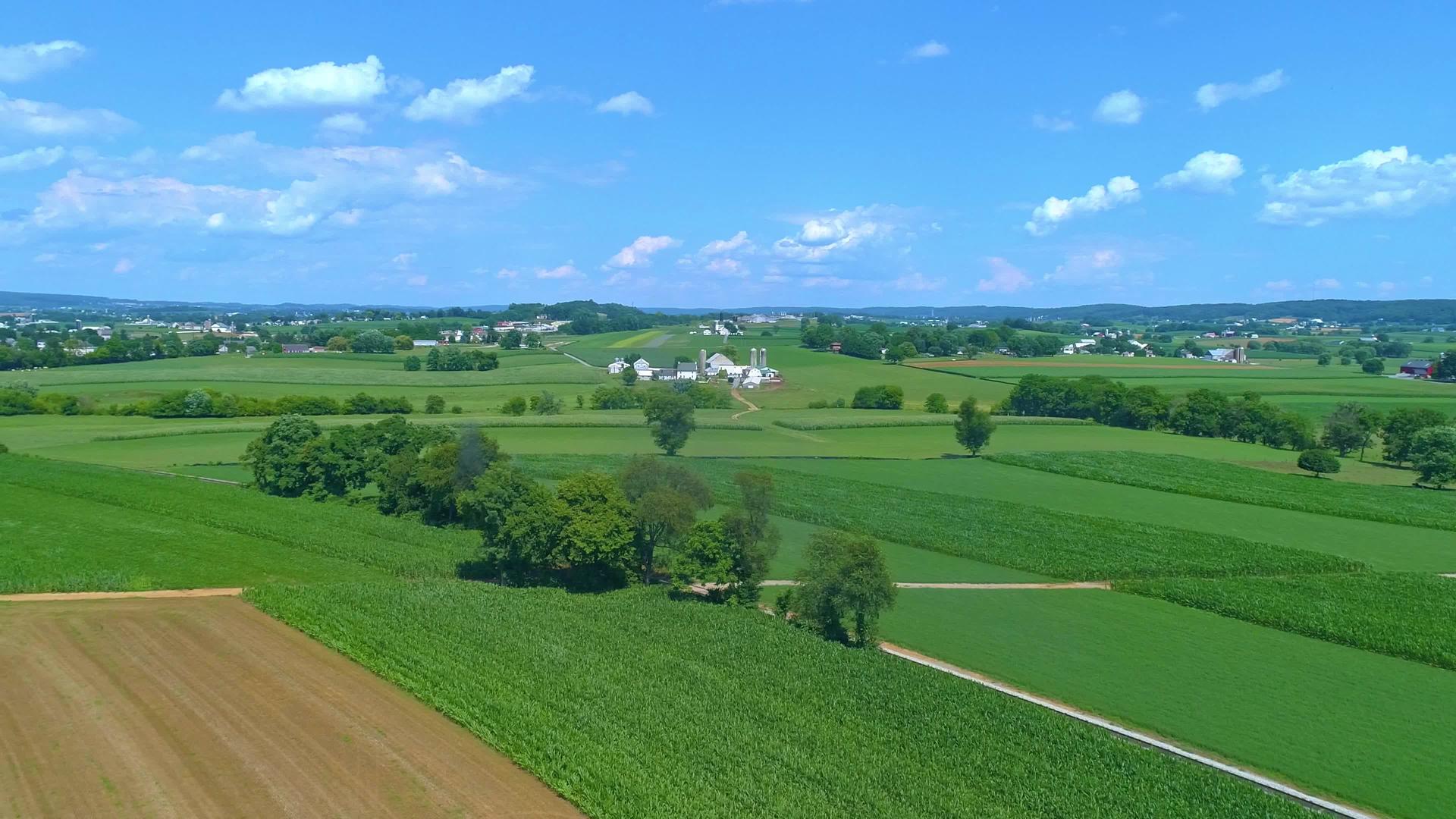 种植玉米和其他蔬菜的绿色农田的空气景观视频的预览图