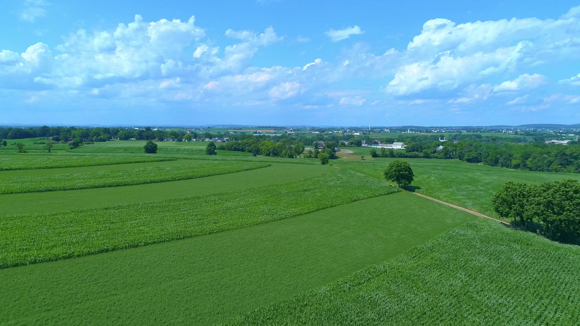 种植玉米和其他蔬菜的绿色农田的空气景观视频的预览图