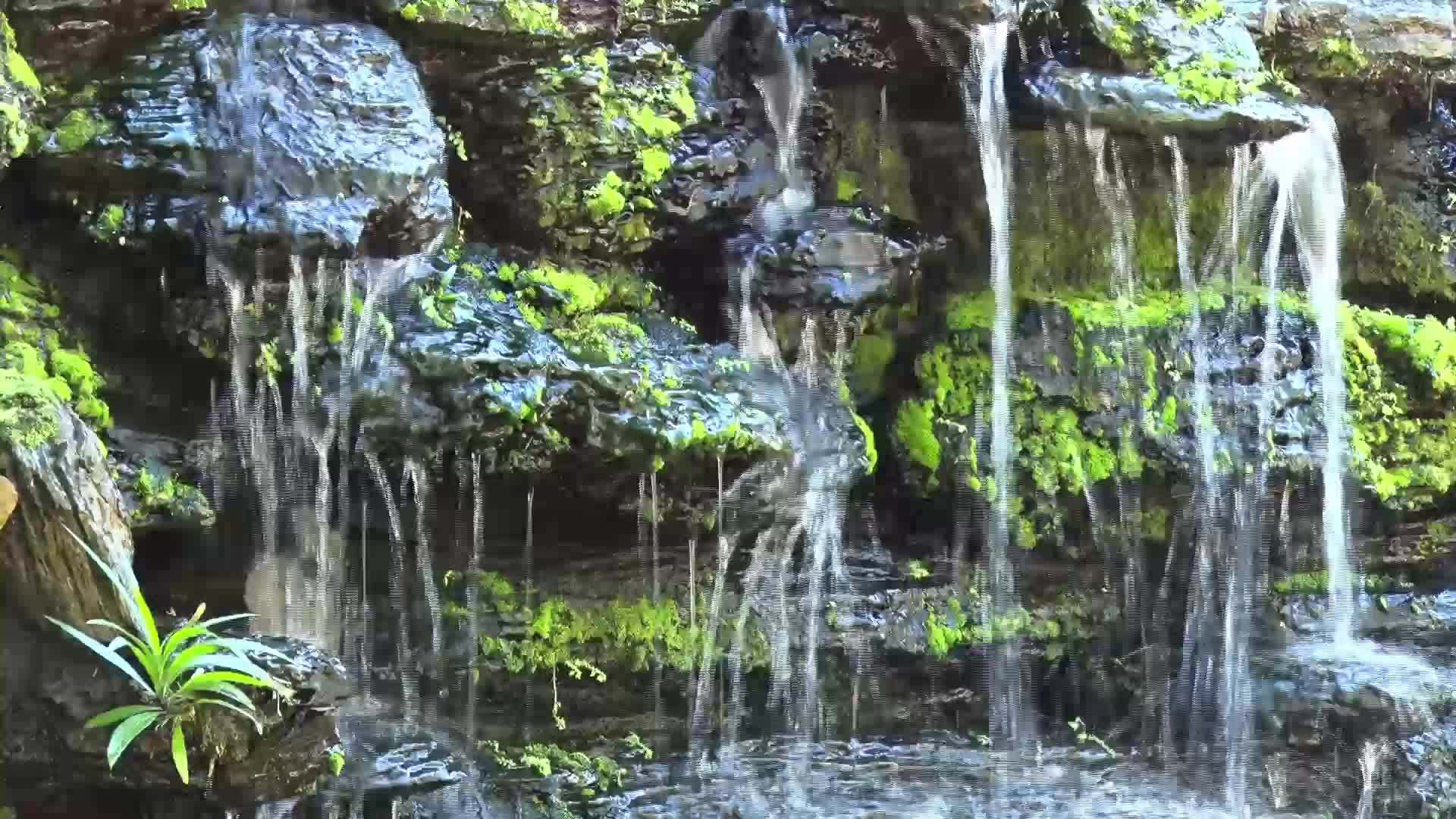 水瀑视频的预览图