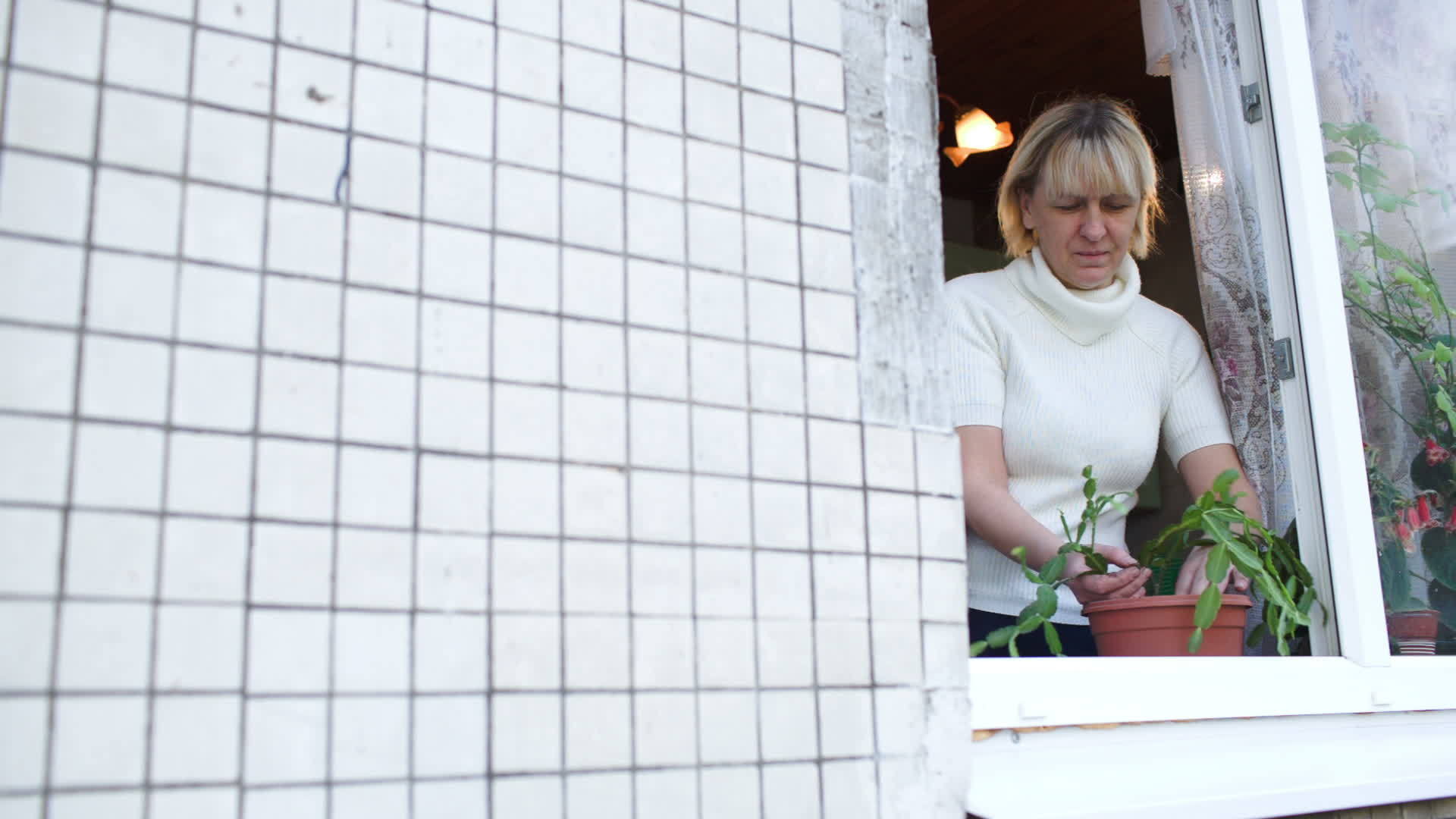 女人和女人打开窗户种植家庭植物视频的预览图