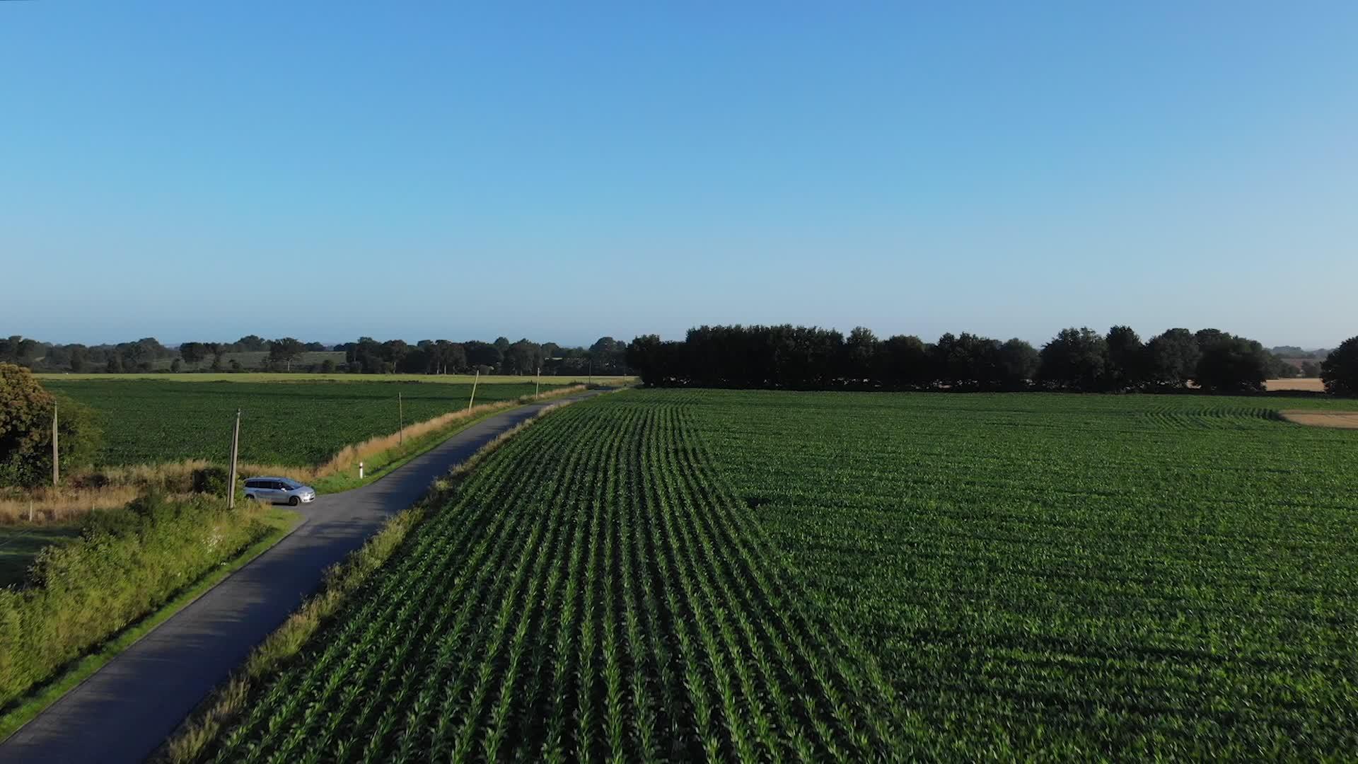 美丽的无人机鸟瞰法国玉米和小麦农田和汽车驾驶法国视频的预览图