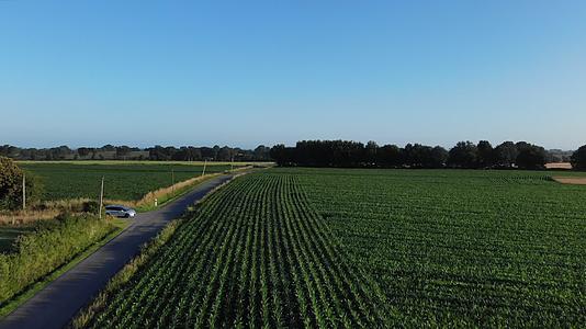 美丽的无人机鸟瞰法国玉米和小麦农田和汽车驾驶法国视频的预览图