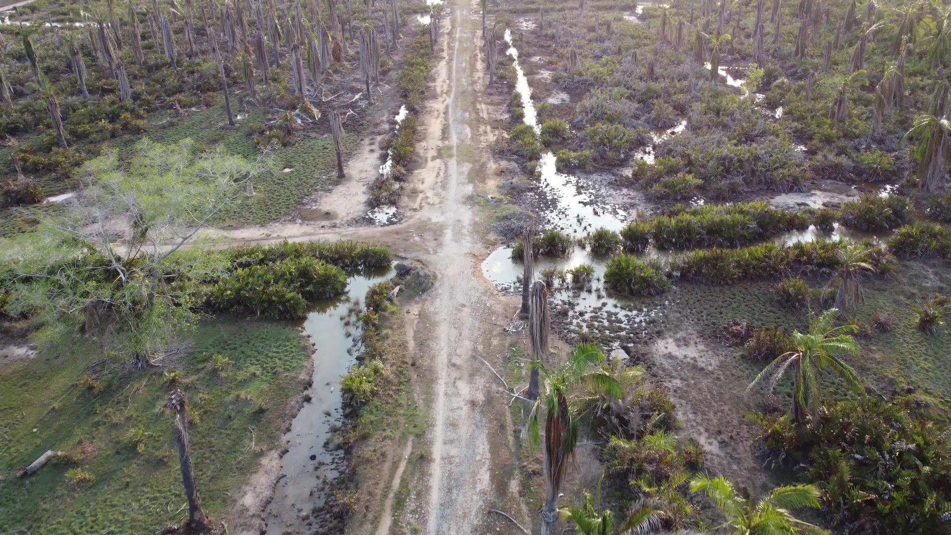 农村死油棕榈路视频的预览图