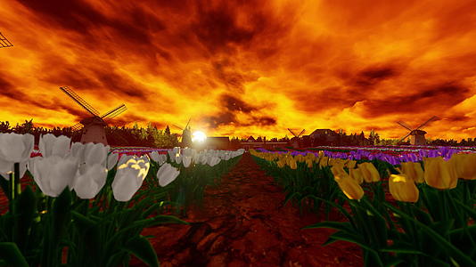在美丽的橙色天空中有风车背景和郁金色流场的全景视频的预览图