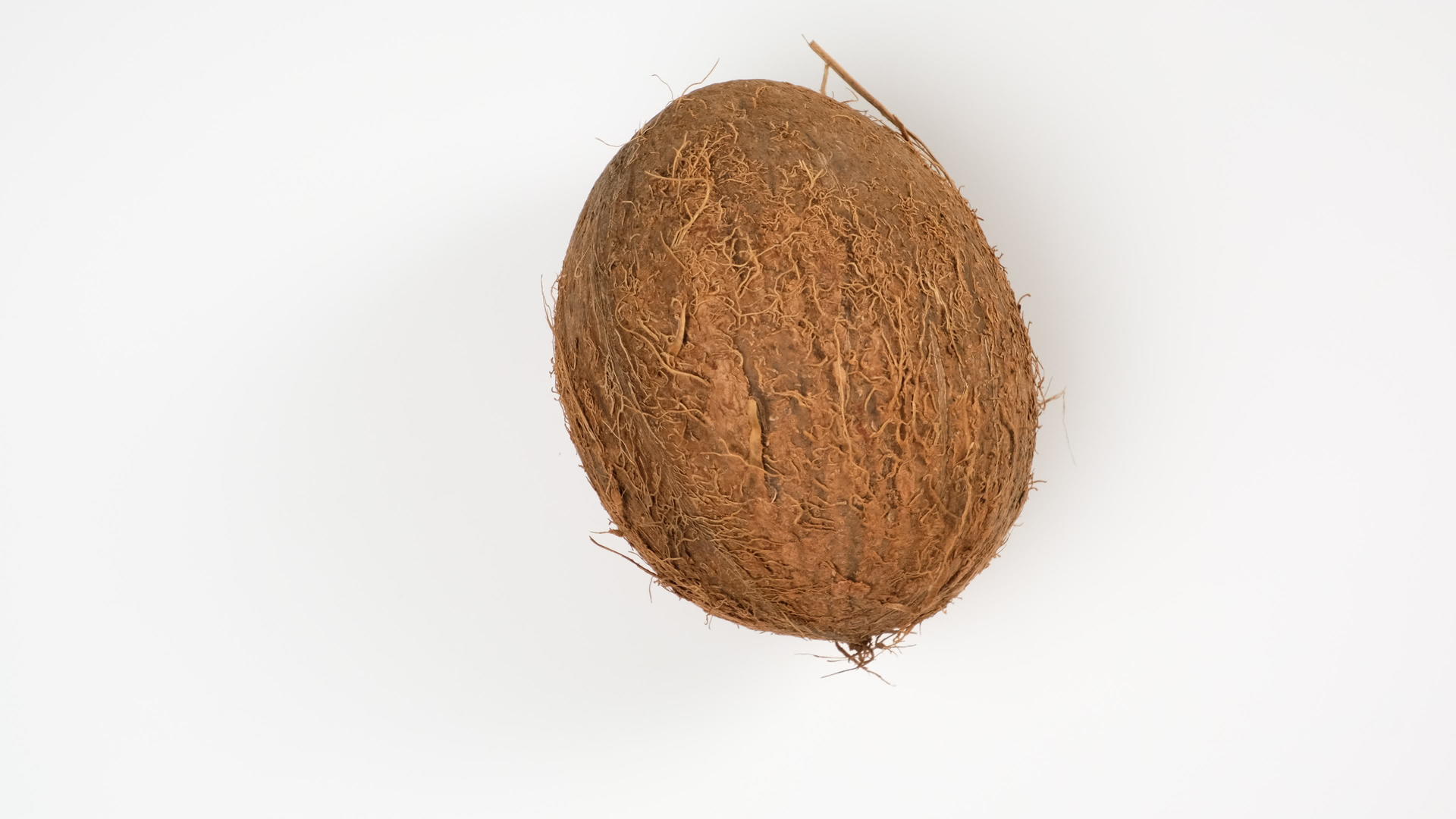 成熟的圆形椰子在白色背景的顶部视频的预览图