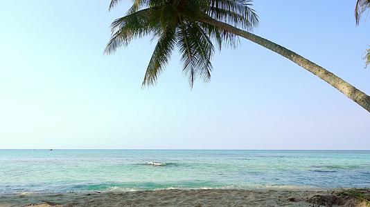 早晨的沙滩和椰子树海滩上的涟漪与蓝色和粉红色的天空形成对比视频的预览图