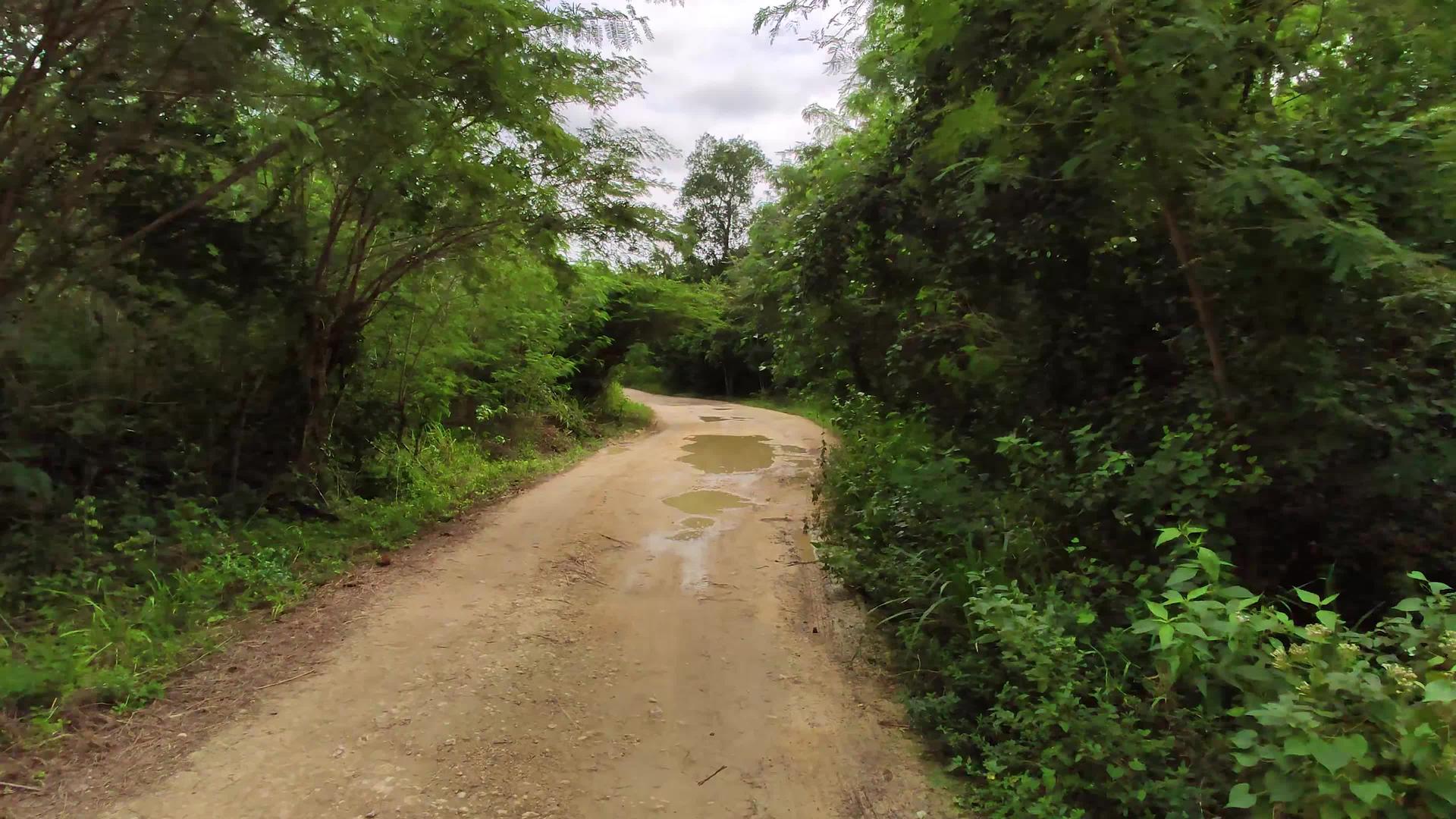科图巴纳马国家公园肮脏的道路视频的预览图