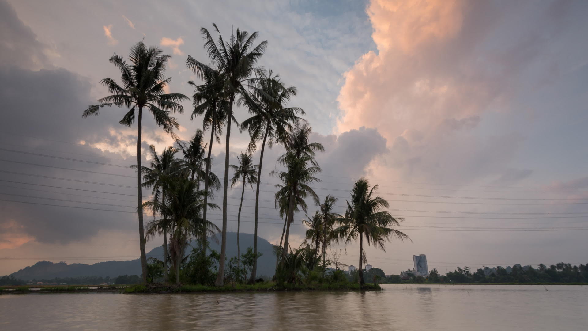 时间悬浮椰子树从水中反射视频的预览图