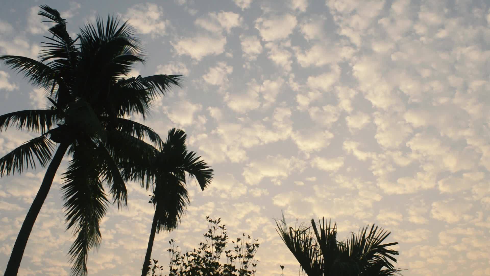 充满活力的色彩日出天空和浮云背景主题照片视频的预览图
