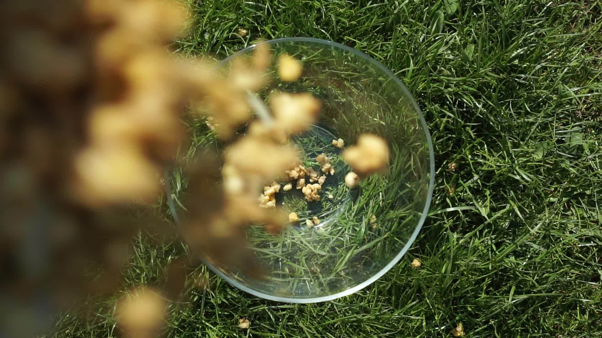 谷类坚果慢慢倒入透明的玻璃杯中站在天然绿草草坪上视频的预览图