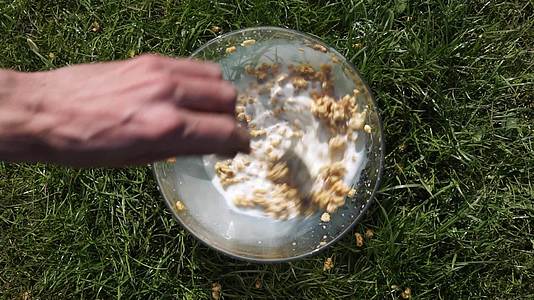白人手勺在绿色天然草坪上搅拌穆埃斯利谷物麦片里面装满了麦片视频的预览图