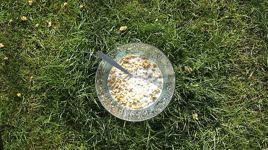 快速生态有机早餐勺被扔进混凝土中 牛奶、水果、谷类麦片和谷类麦片被扔进混凝土中视频的预览图