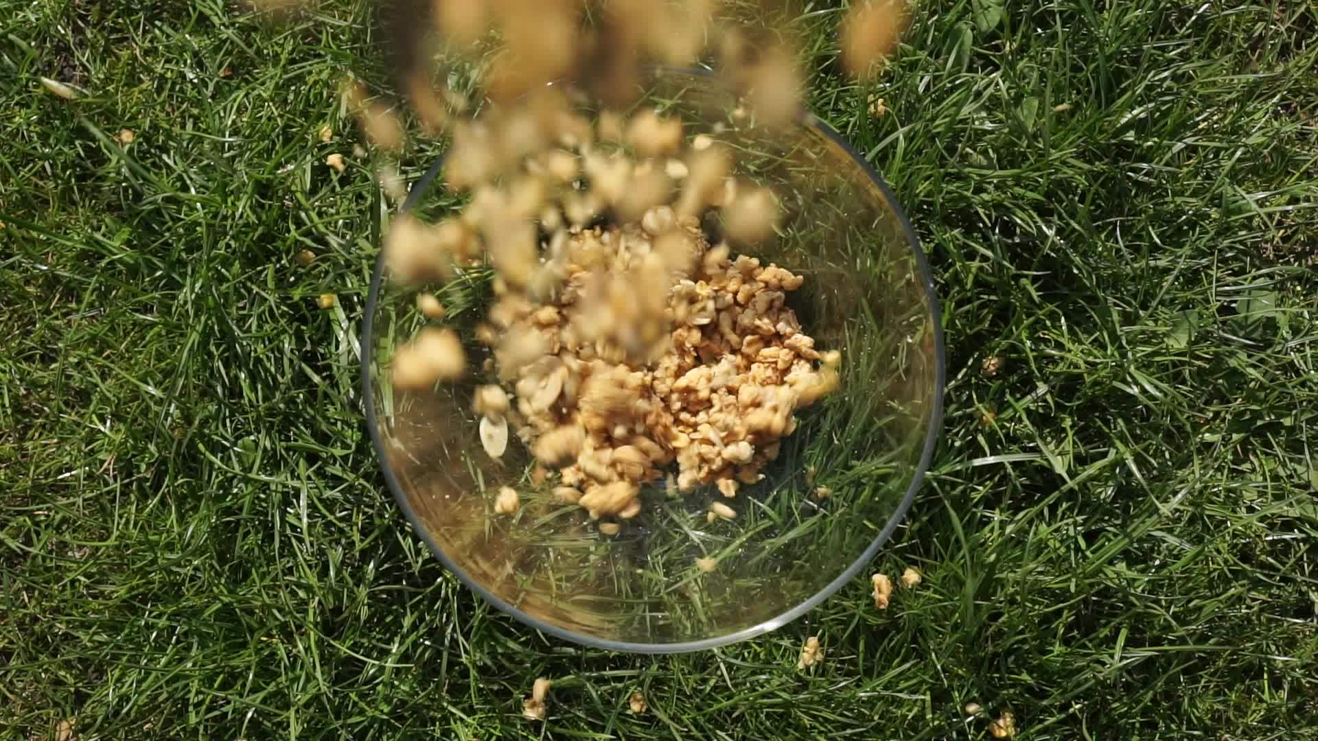 麦片麦片从顶部慢慢倒入天然绿草草坪视频的预览图