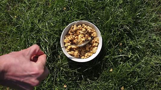 绿草上的生态有机阳光夏日早餐人们手里拿着麦片、麦片和麦片视频的预览图